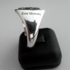 Cheshire Regiment Ring - Image 7